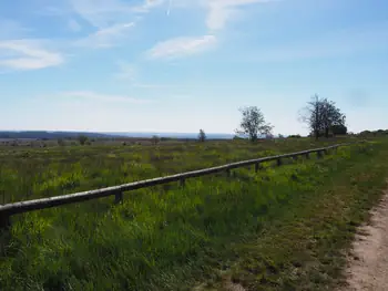 Signal de Botrange (België)